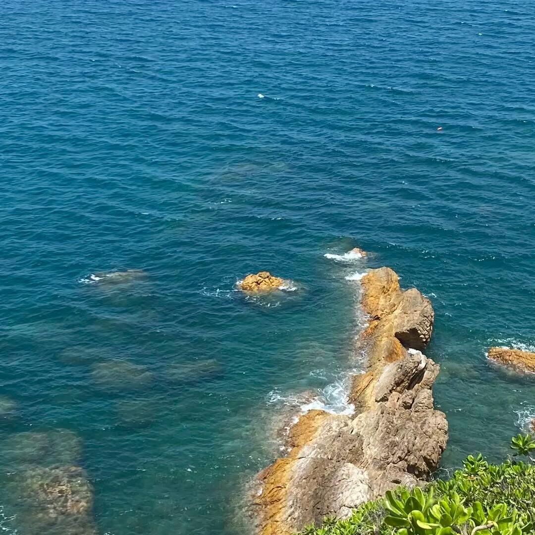 小掌柜