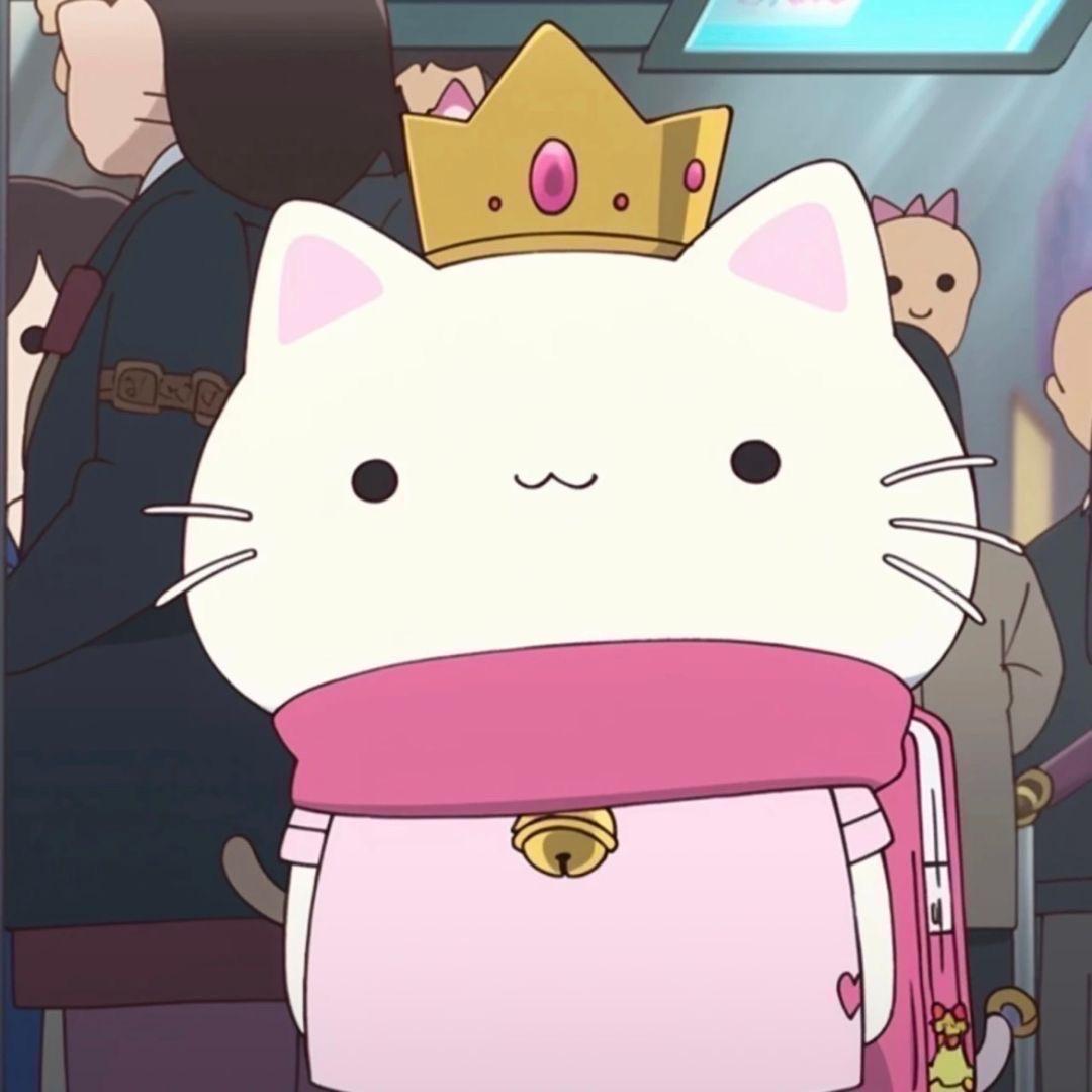 初礼•ChuLi （日常号）