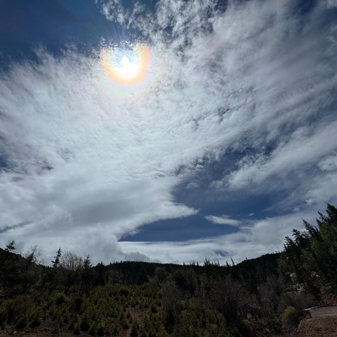 文山市历新门业兴阳建材城店（个体工商户）