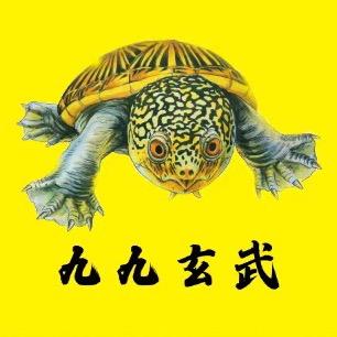 九九㊓玄武龟宠🐢