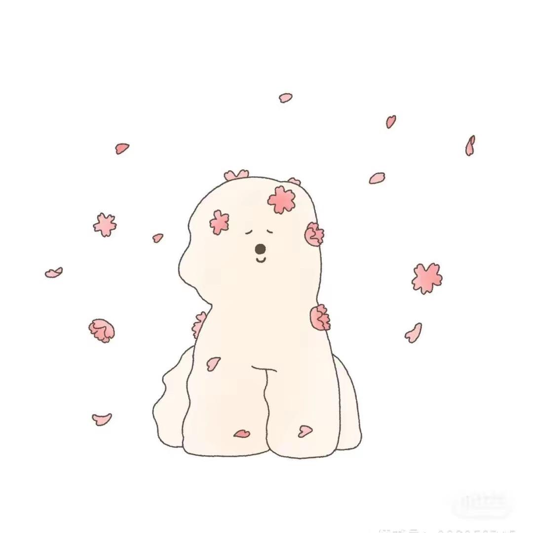 再也不买伞了