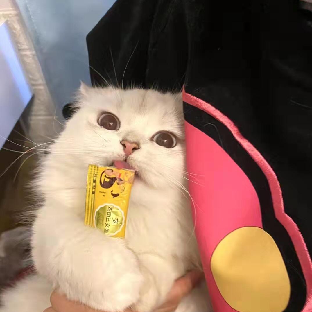 姜孝子别幽默了头  像