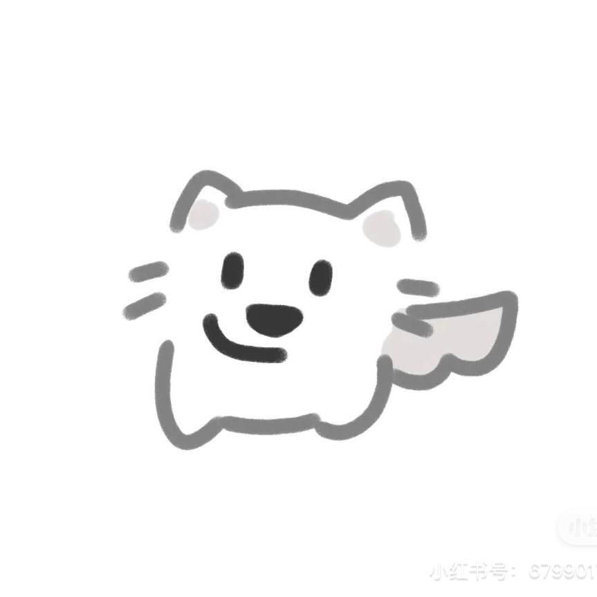 无与伦比的抹布