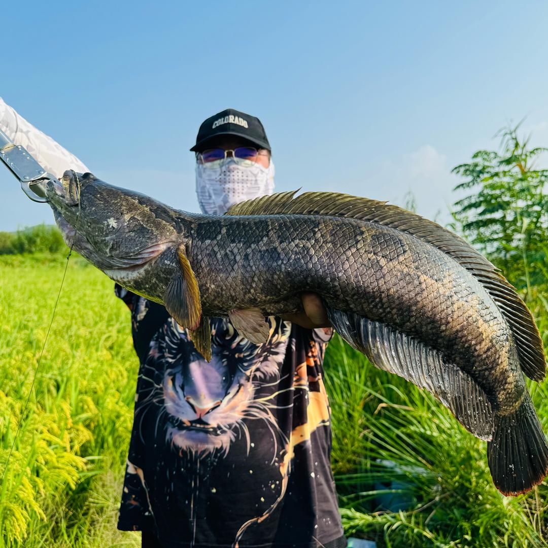 李太牛烤肉火锅自助(南陵店)官方号