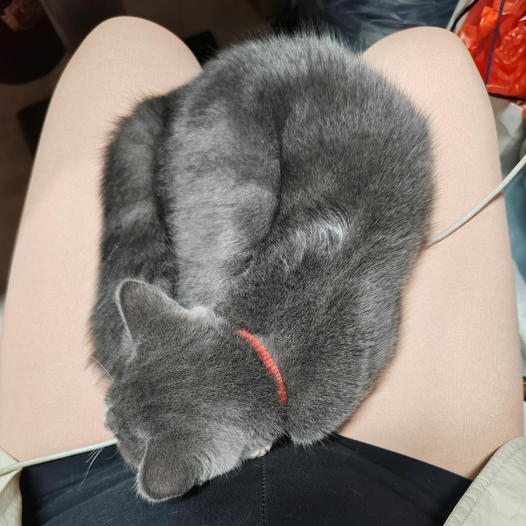 眼睛好看
