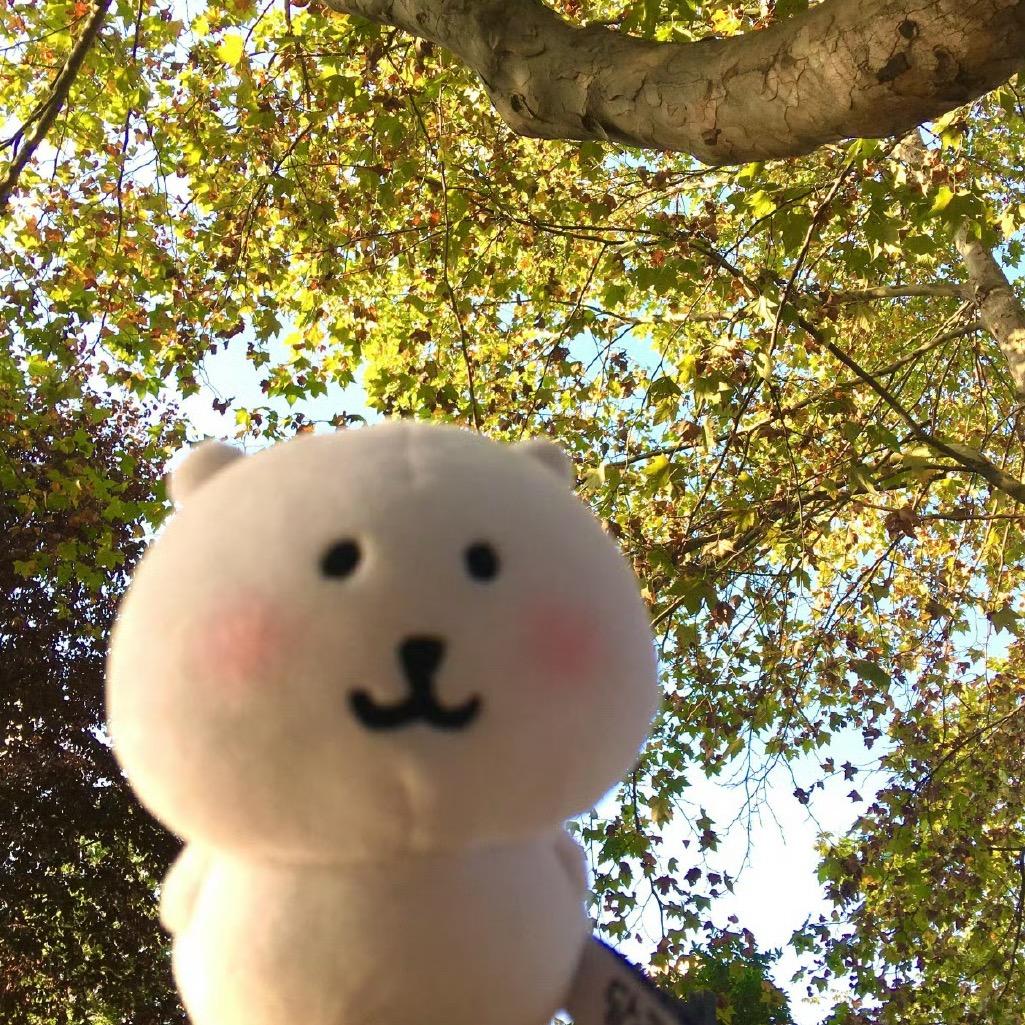 懒懒椰椰