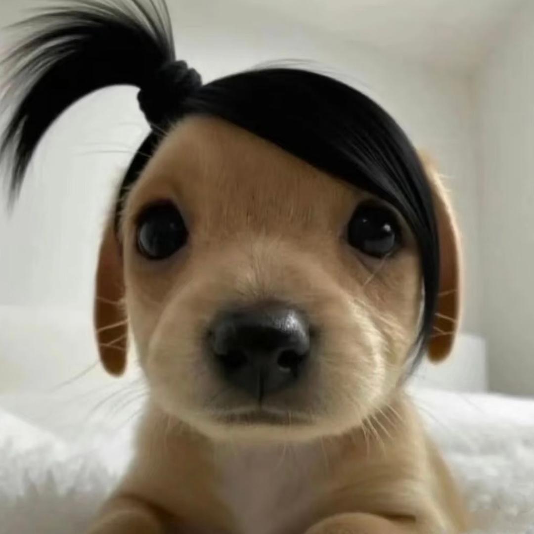 吉伊牌汉堡（无畏契约）