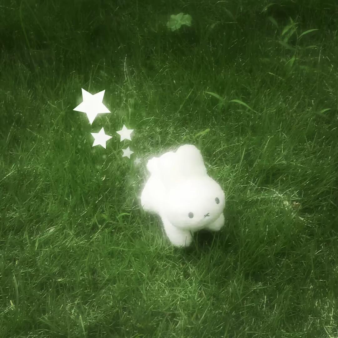 芽