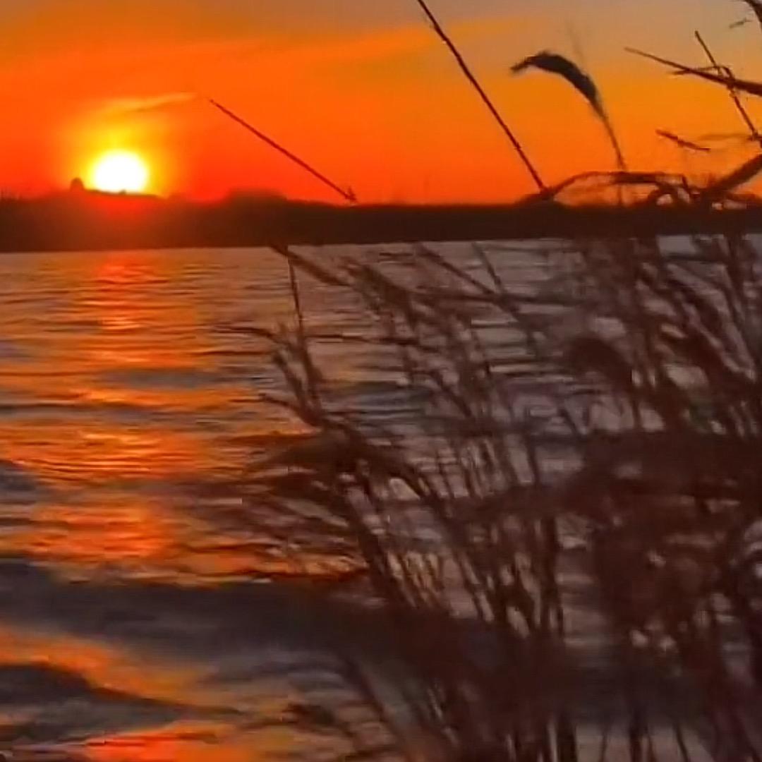 𝑺𝒖𝒏 𝒔𝒉𝒊𝒏𝒆𝒔