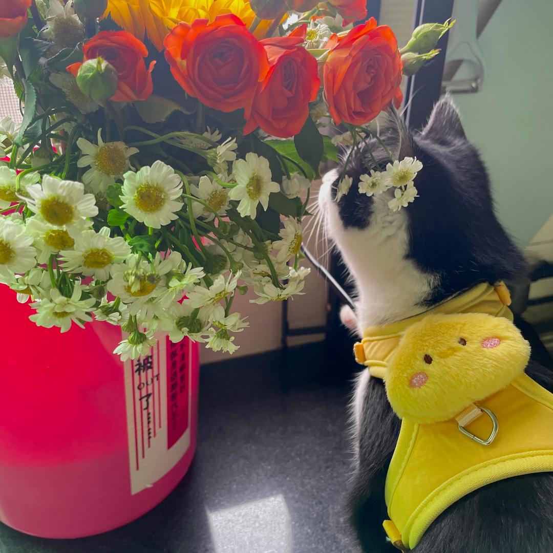 然先生（亲过94版）