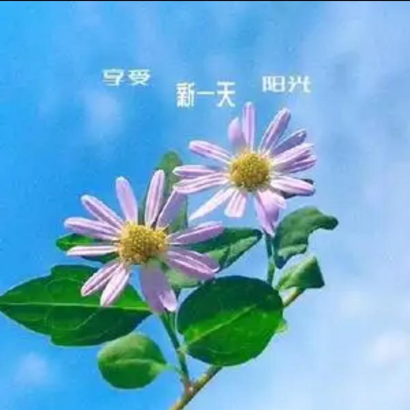 岁月静好🌹🌹