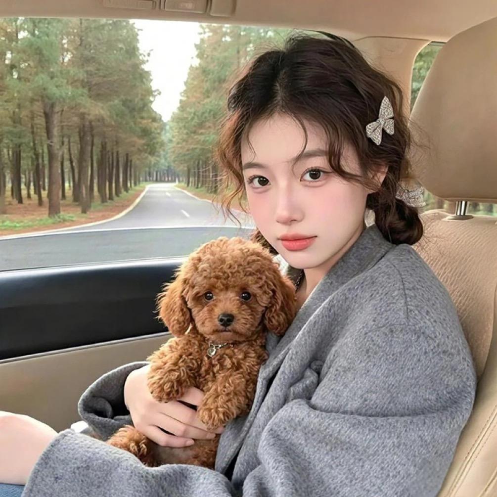 布丁奶茶妹妹✨