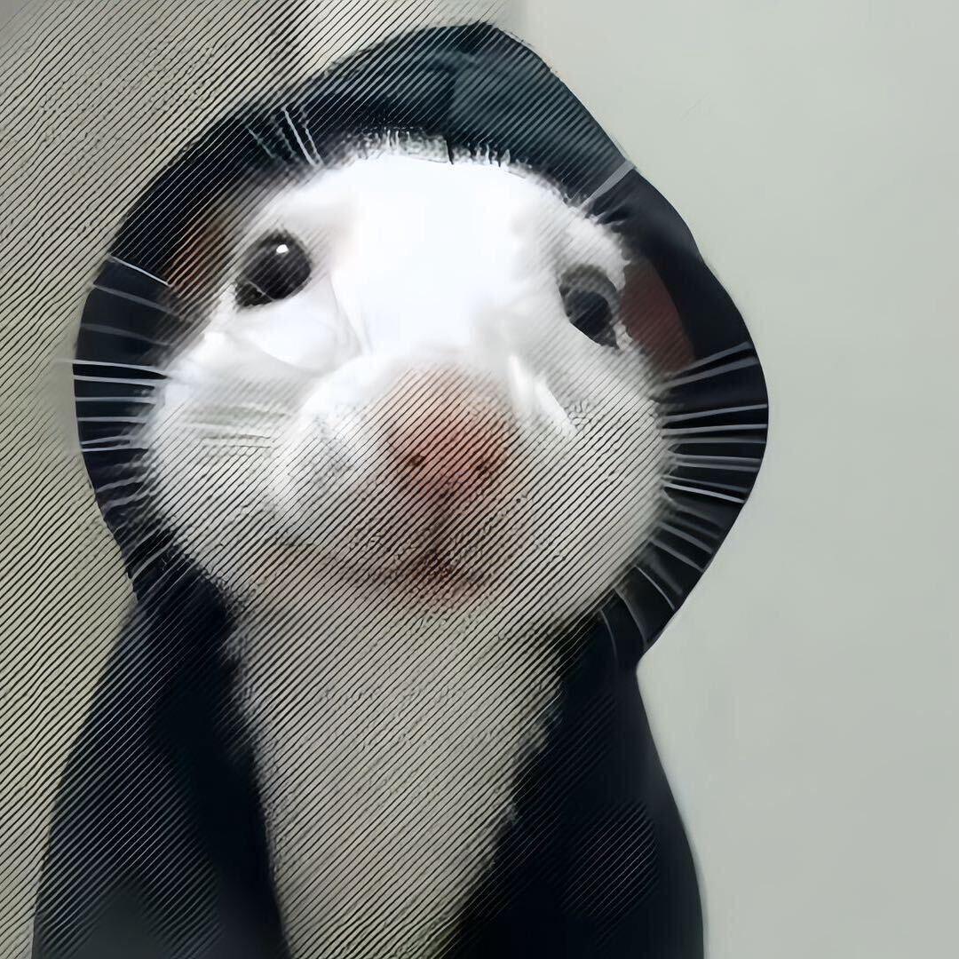 于晏有点神经