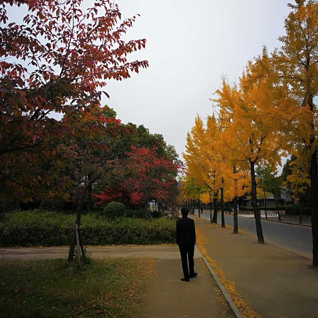 中山王后代