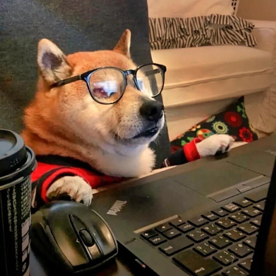 哥的破钱包穷的叮当儿响