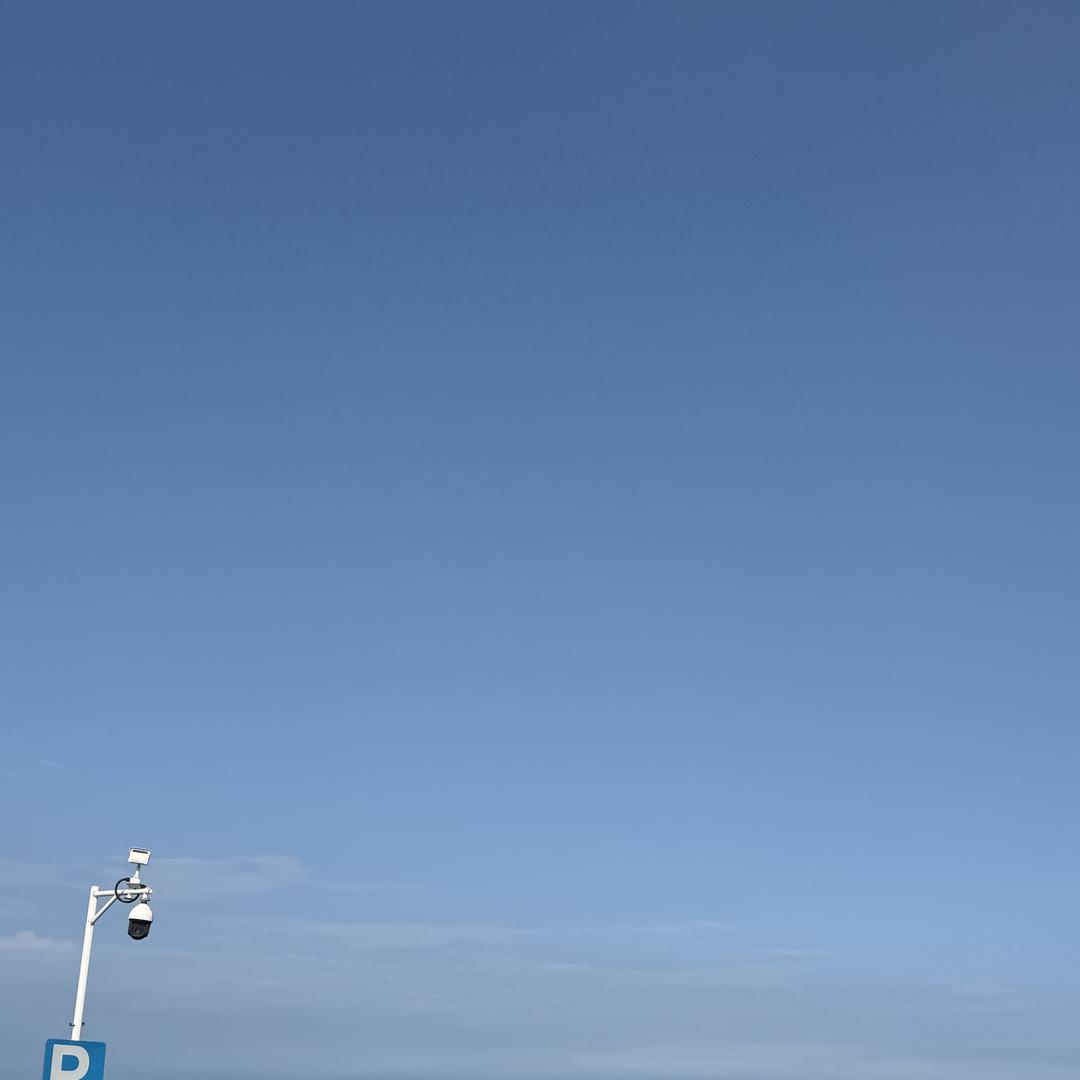 证利（实操）