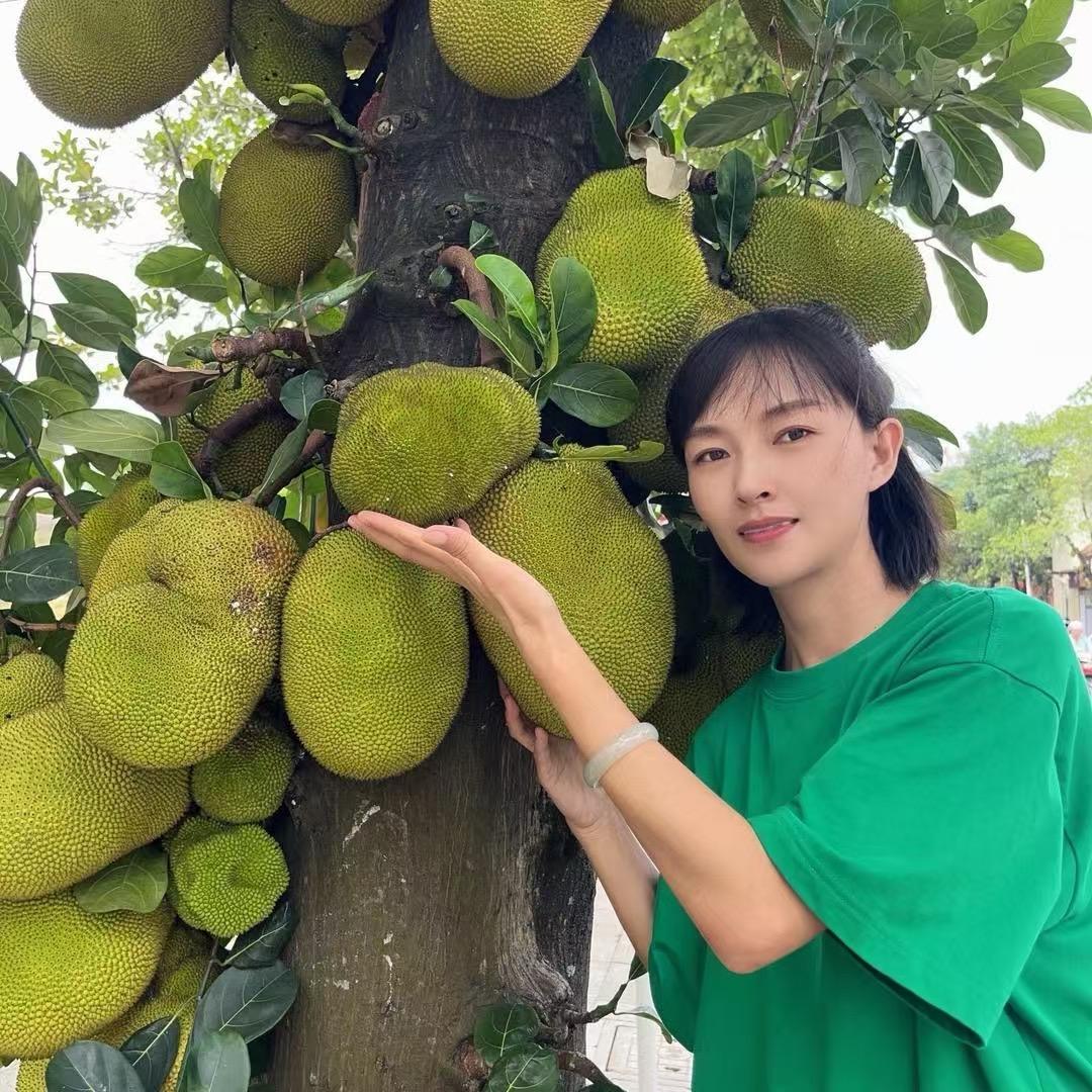 七妹的下山好货