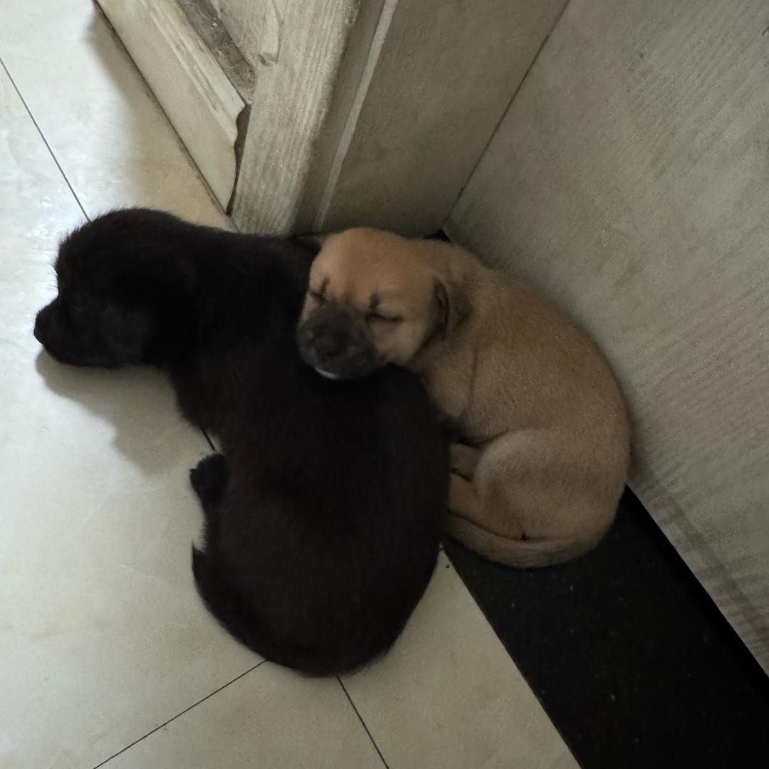 不要挑战我的底线