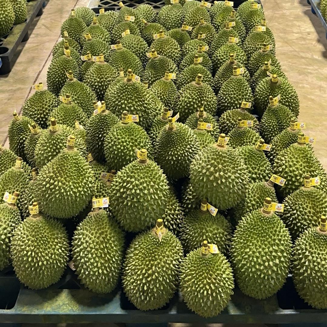 万邦健恒果蔬