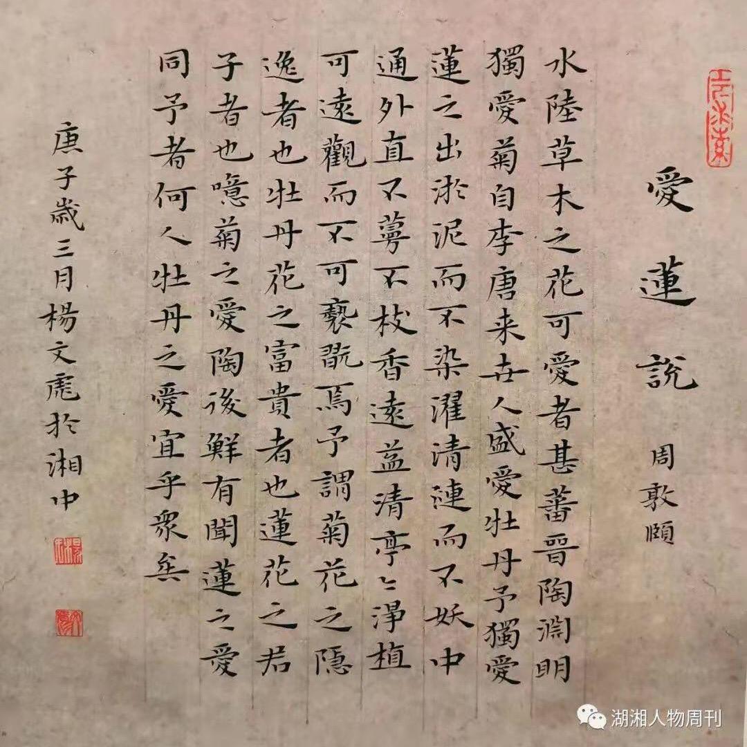 醉尘阁文玩玉米