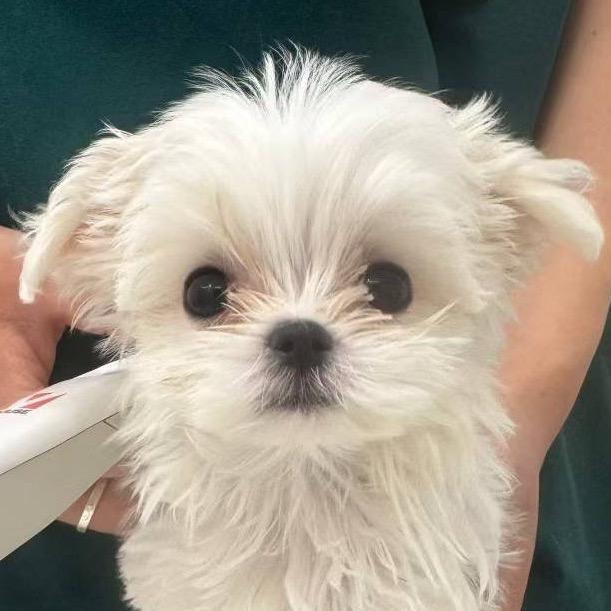 我闪