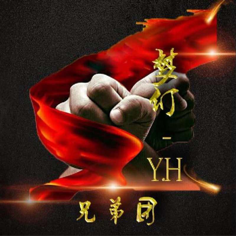梦幻YH
