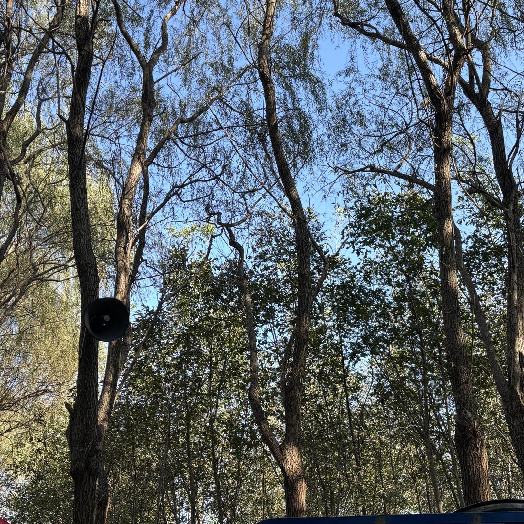 开心幸福快乐d人