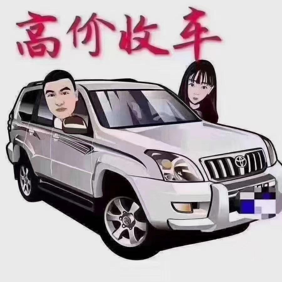 鹤岗网红成子二手车