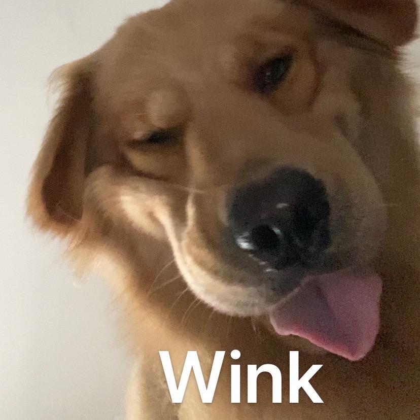 我要睡觉