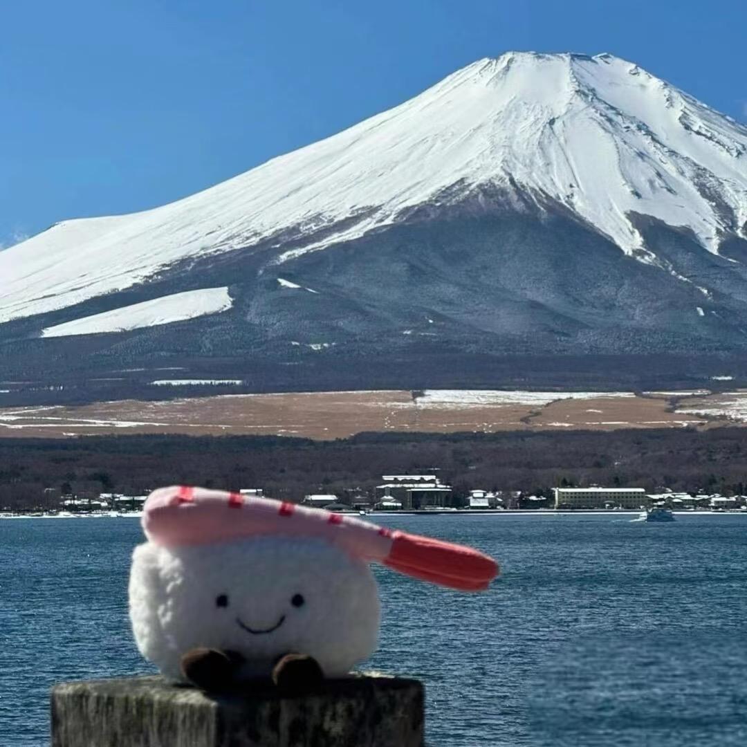 仙崽