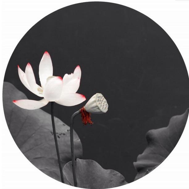 芝上祝由文化