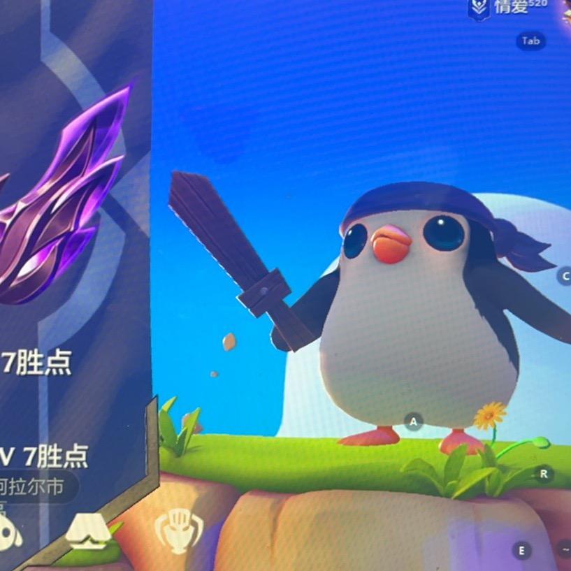 金铲铲胖
