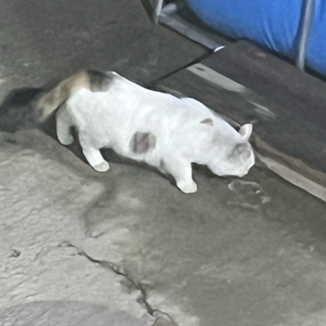 童鞋💱