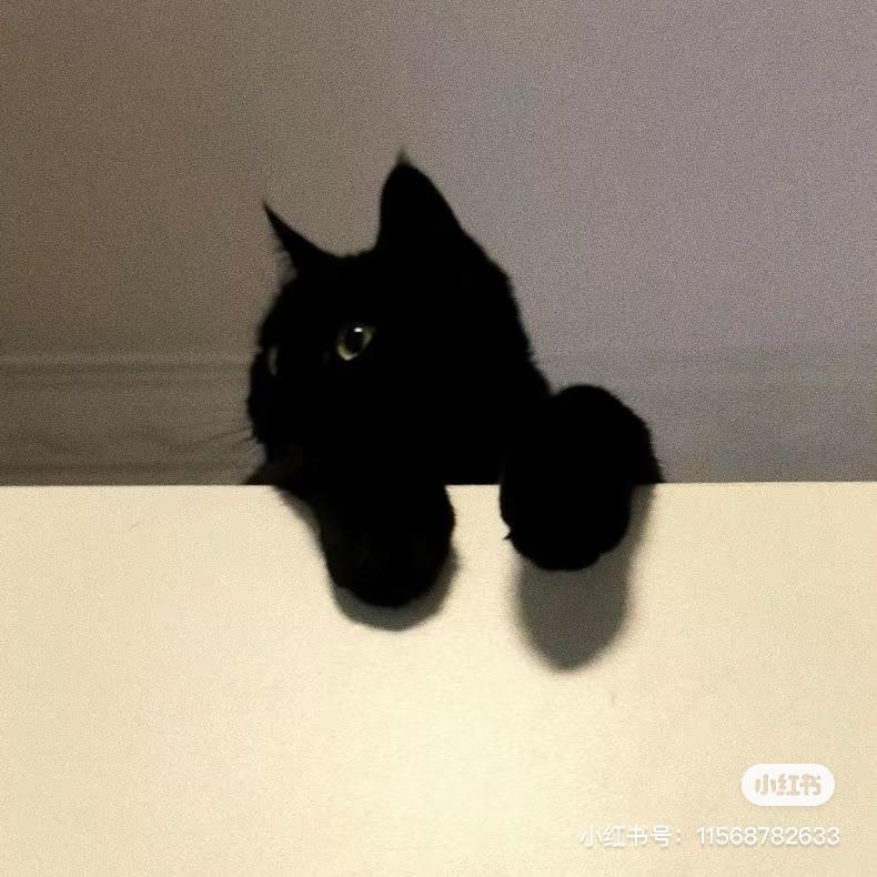 _iuùuuu