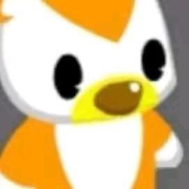Rrrr