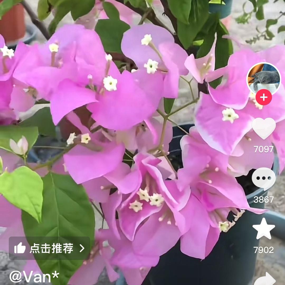 云净天空