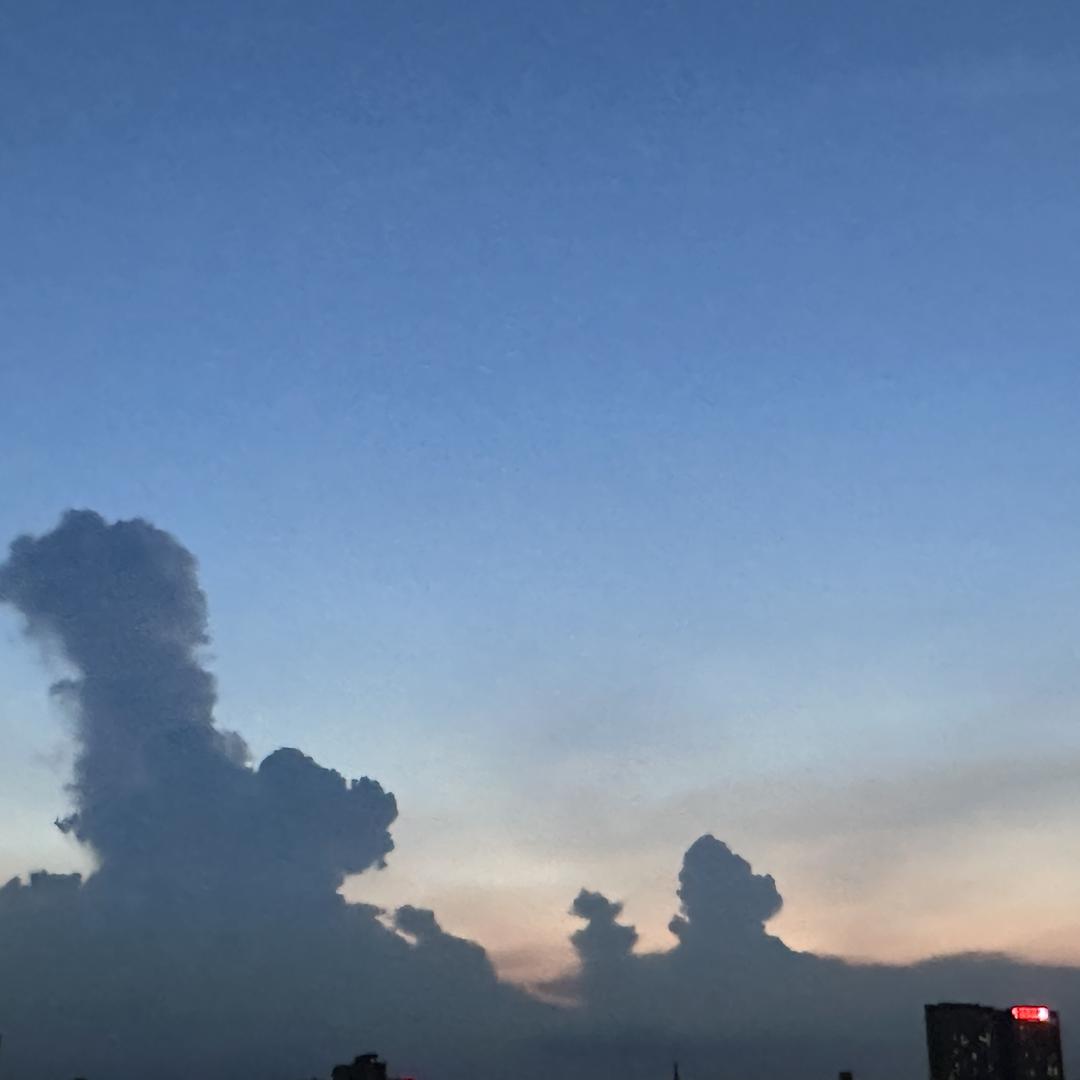 骏辉汽贸有限公司