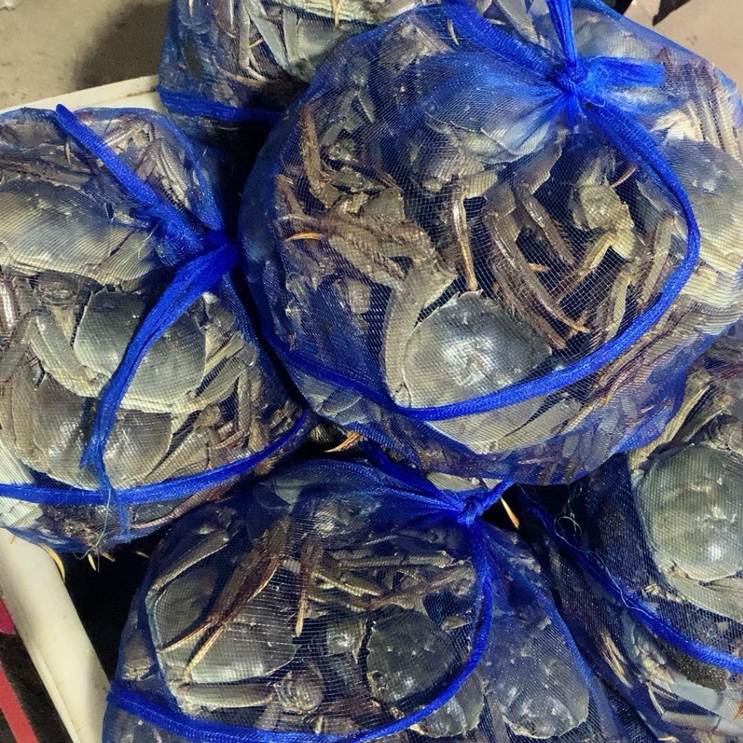 兴化大闸蟹的头像