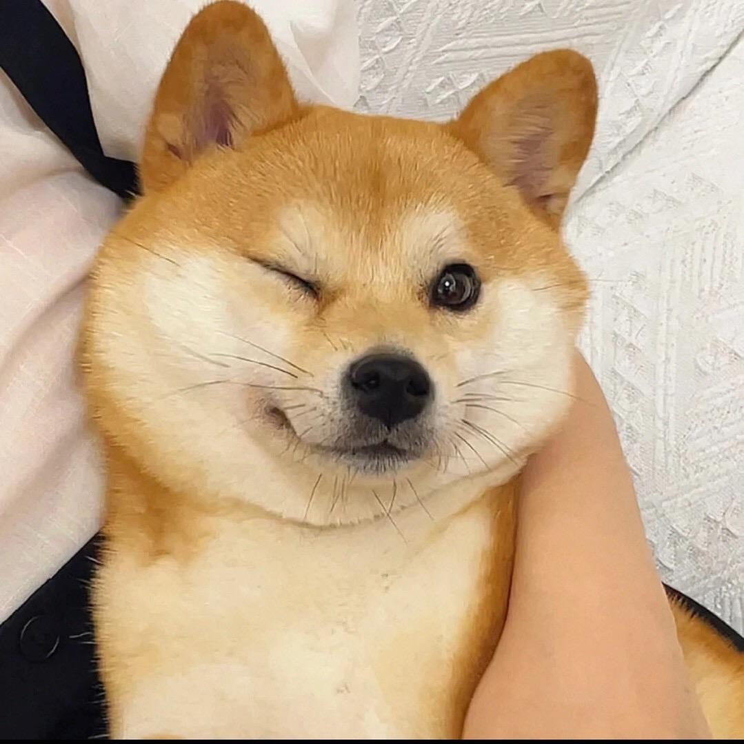YC军阀