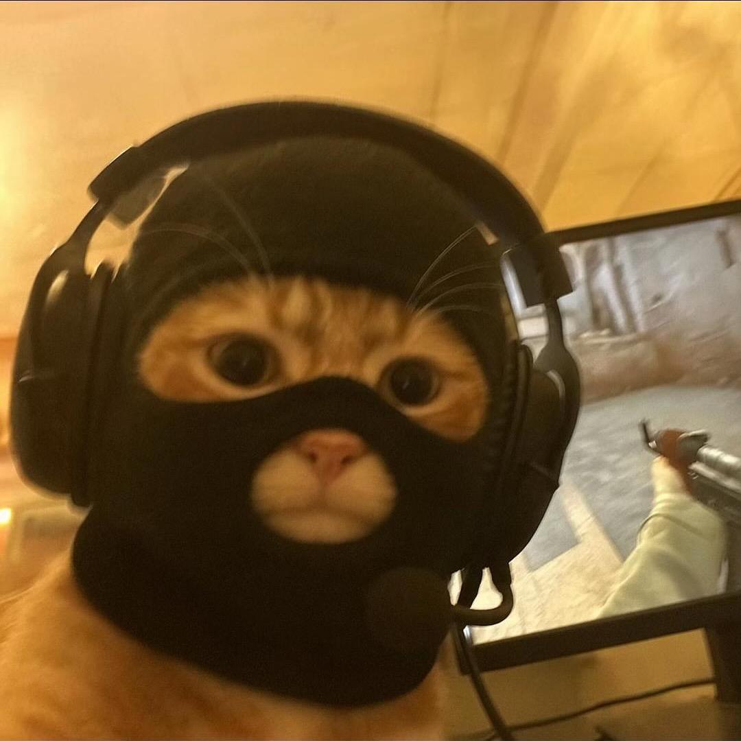 呆