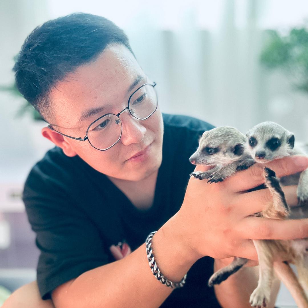 陈健羊驼矮马养殖铺子