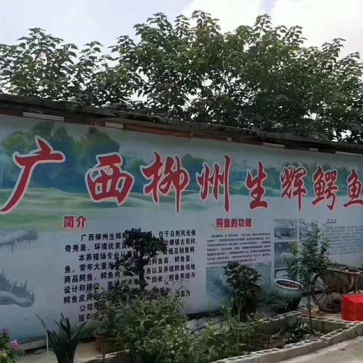 柳州市柳北区生辉养殖场