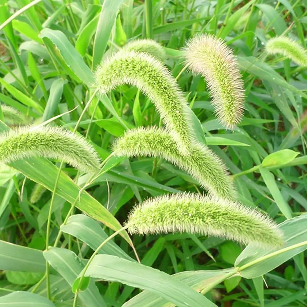 永往直前