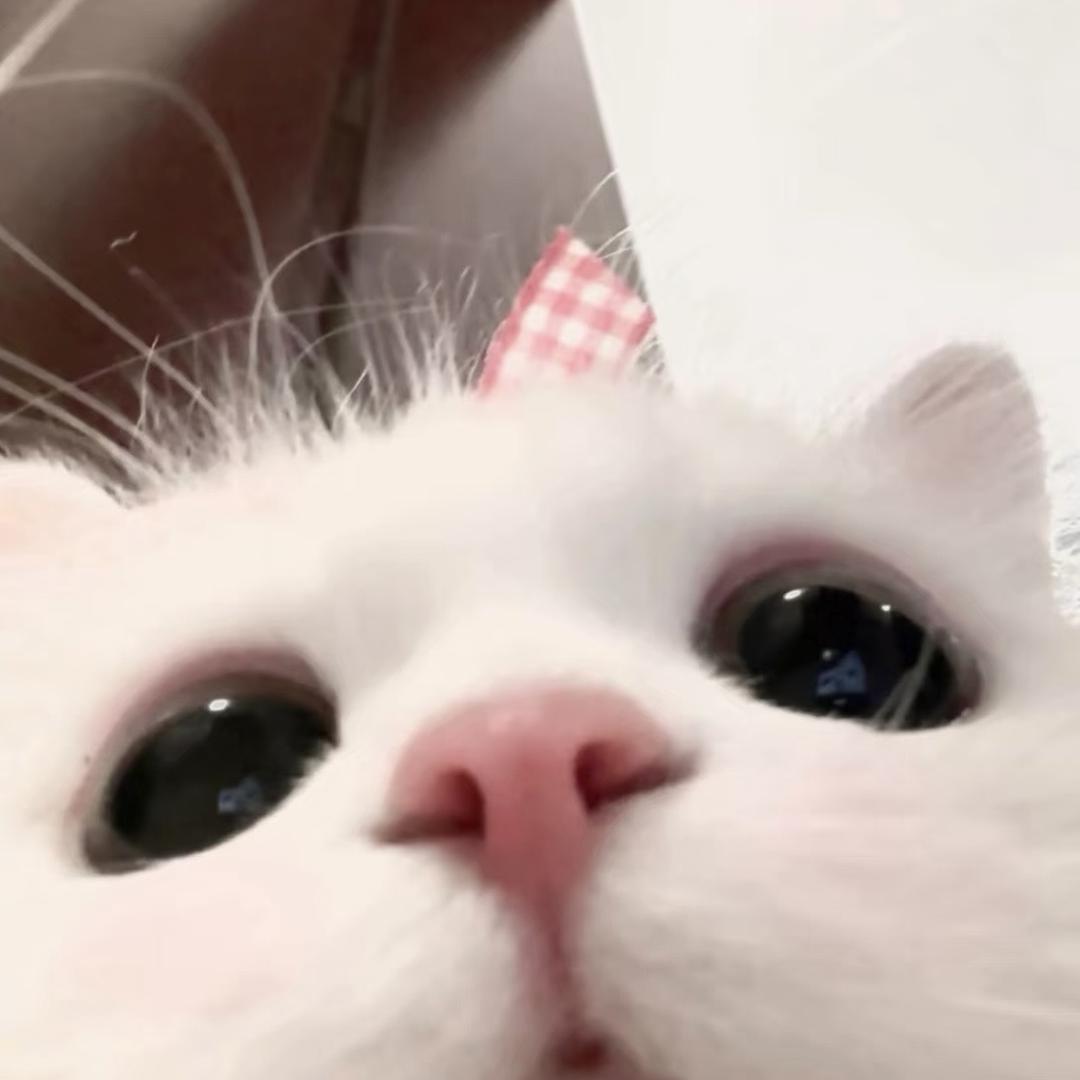 徐大喵请多喝水