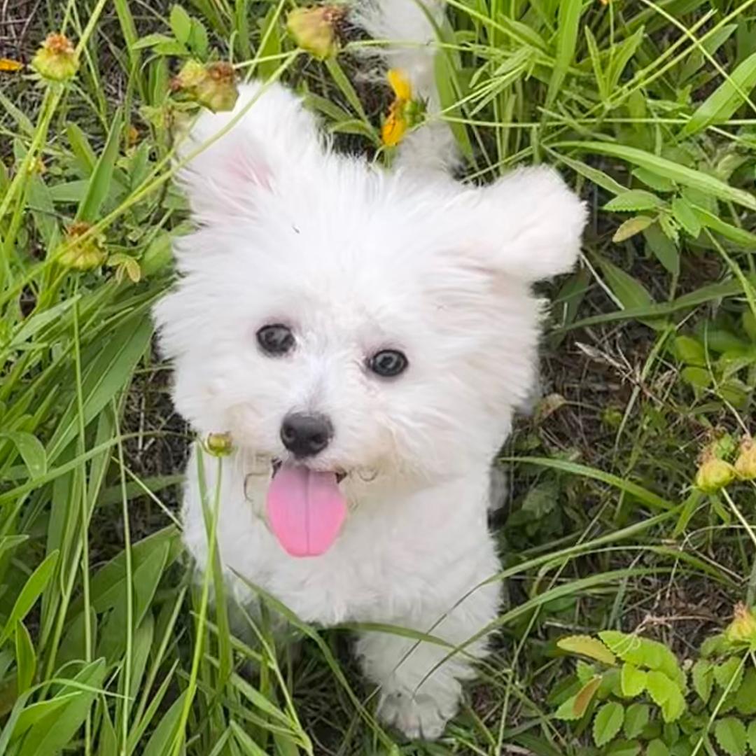 Lucky的哈基米生活