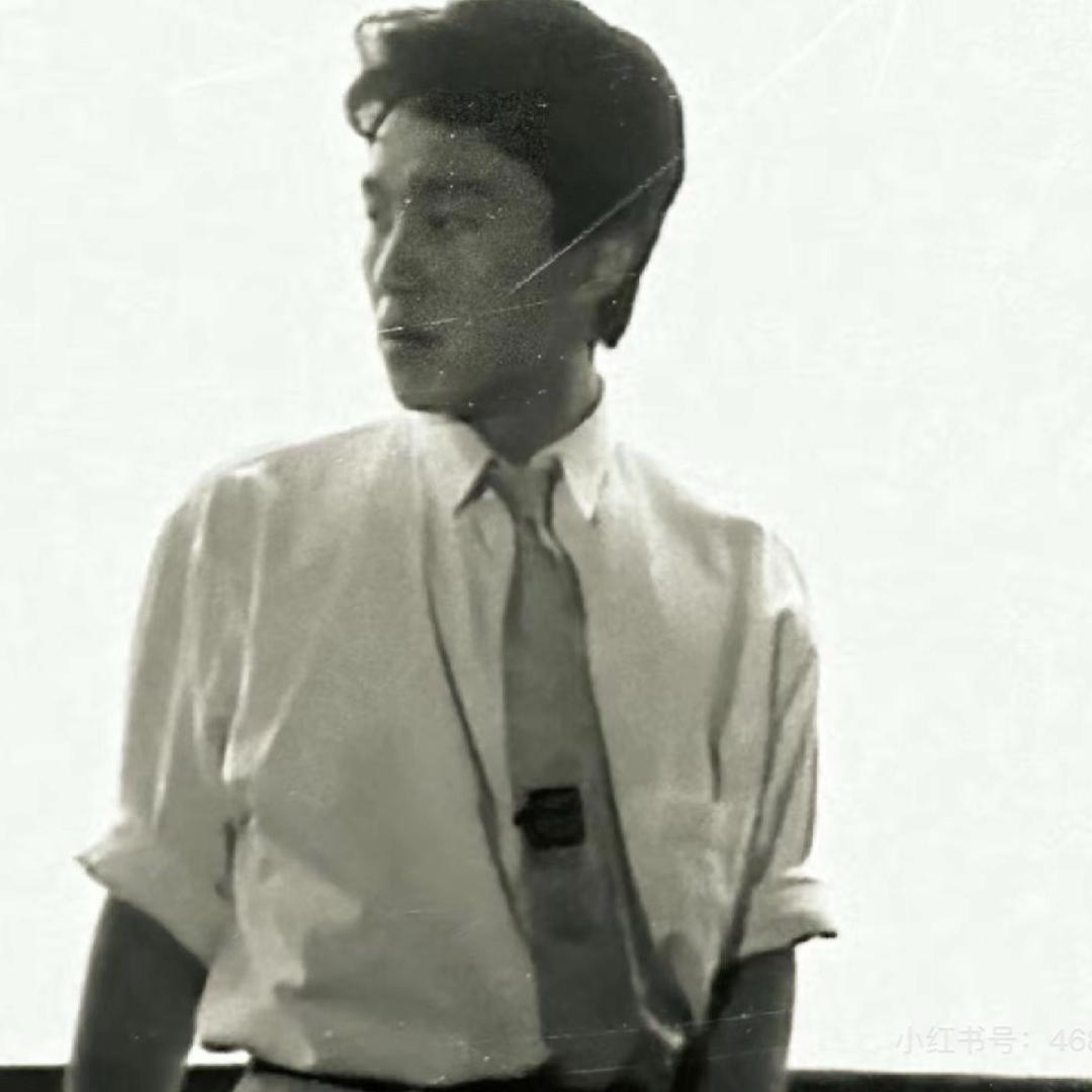 高冷的呆呆鱼