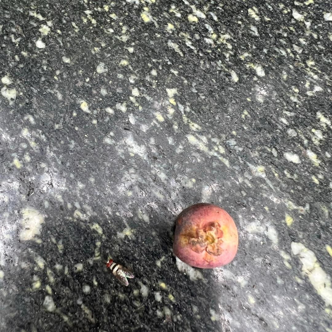 老爹🤫🤡吹牛