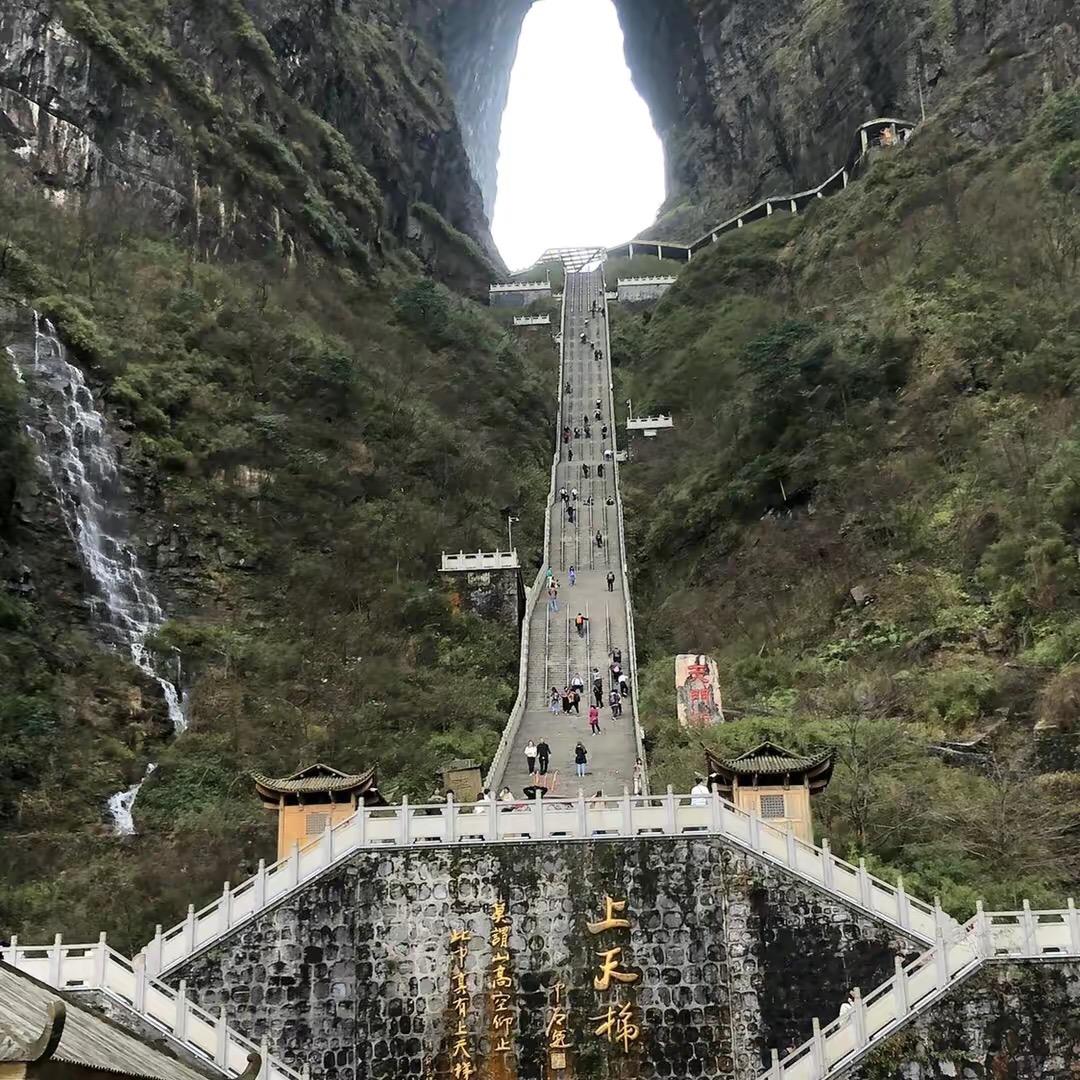 我就看看不说话