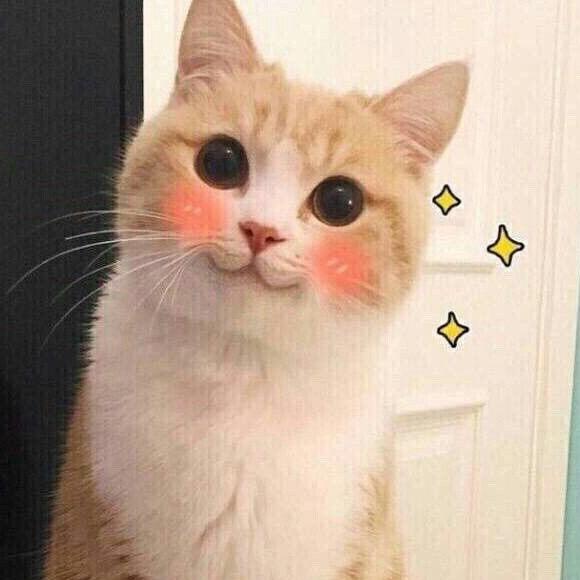 春日限定