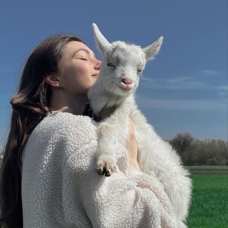 @就叫锦娜吧